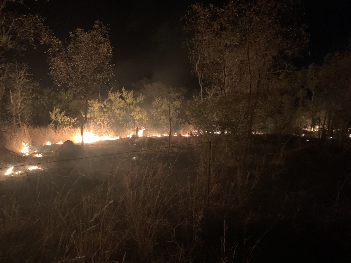 DougSaal's tweet photo. Forest fires + August winds!!!! https://t.co/OYwgy6hw5m