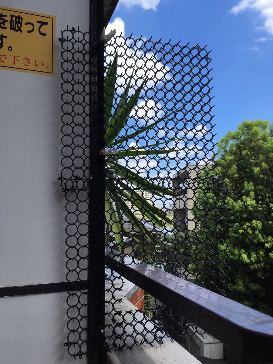 猫脱走防止 Twitter પર હ શટ ગ