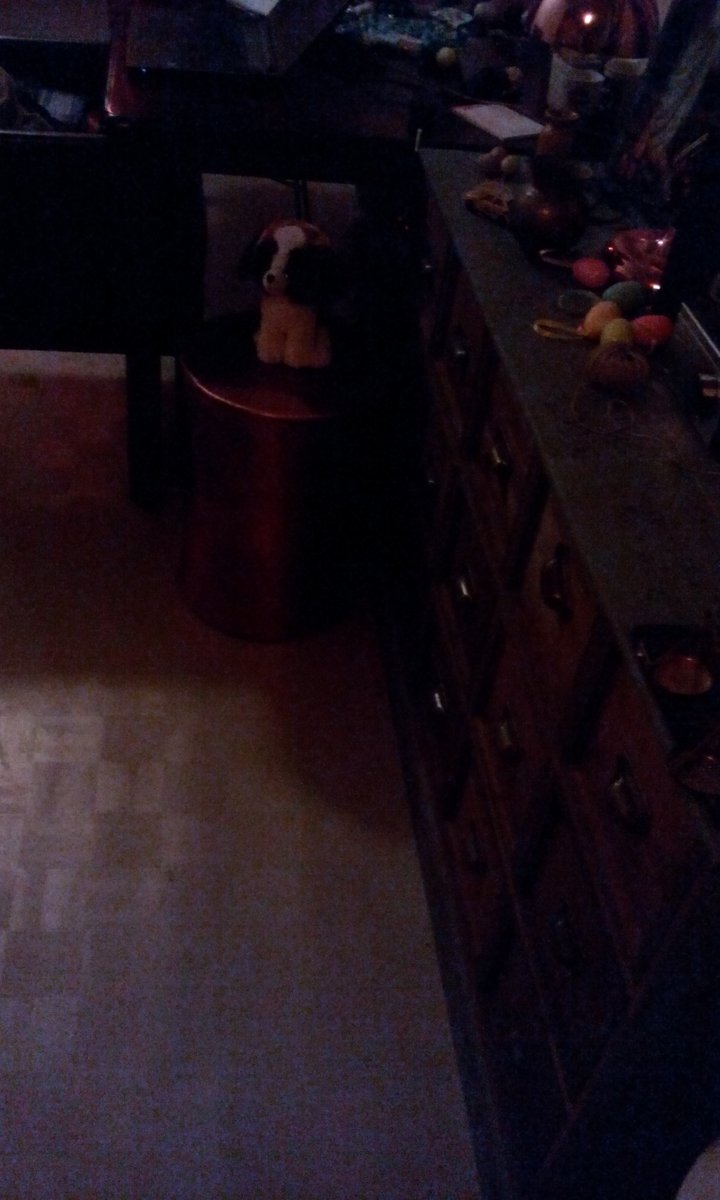 Koenty Dwarka Chaub (@diklovenac) on Twitter photo 