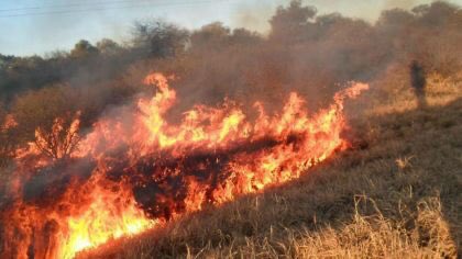 Argentina is on Fire, and the tweets about it aren't blowing up. Please sign this petitions and donate if you can Thread!