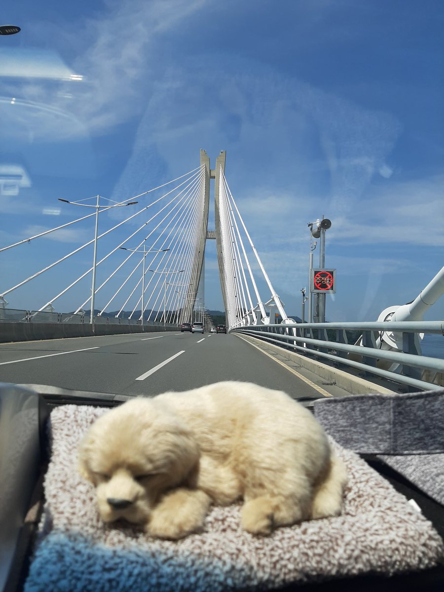 Morning Busan