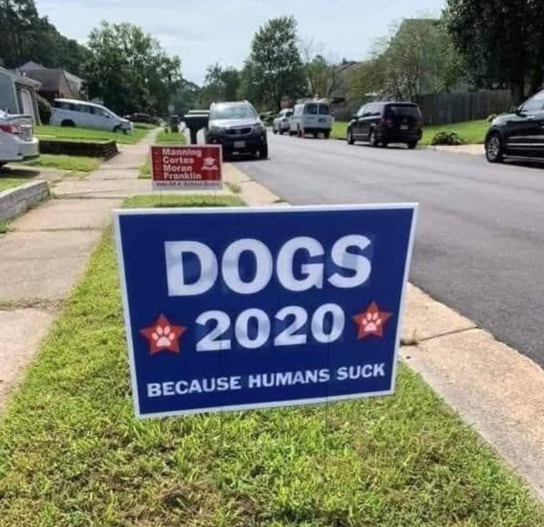 NinjaBoy66's tweet image. #2020