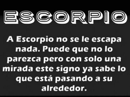 rositacuello's tweet photo. Orgullosa de ser escorpiana ! 😀 https://t.co/AB3Cy31o3D