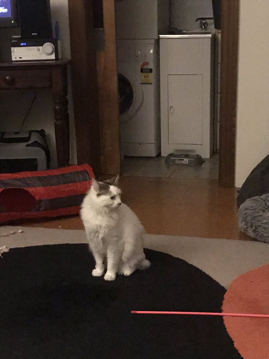 Fort Street (@fort_street) on Twitter photo 