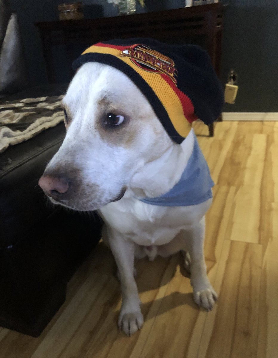 tlepperrr's tweet photo. Come on @Canucks !! https://t.co/se3DBQOCKi