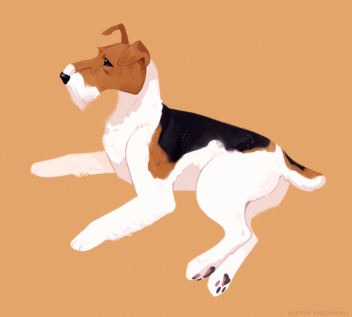  #doggust day 29: Wire Fox Terrier! I can't believe we're almost done!!