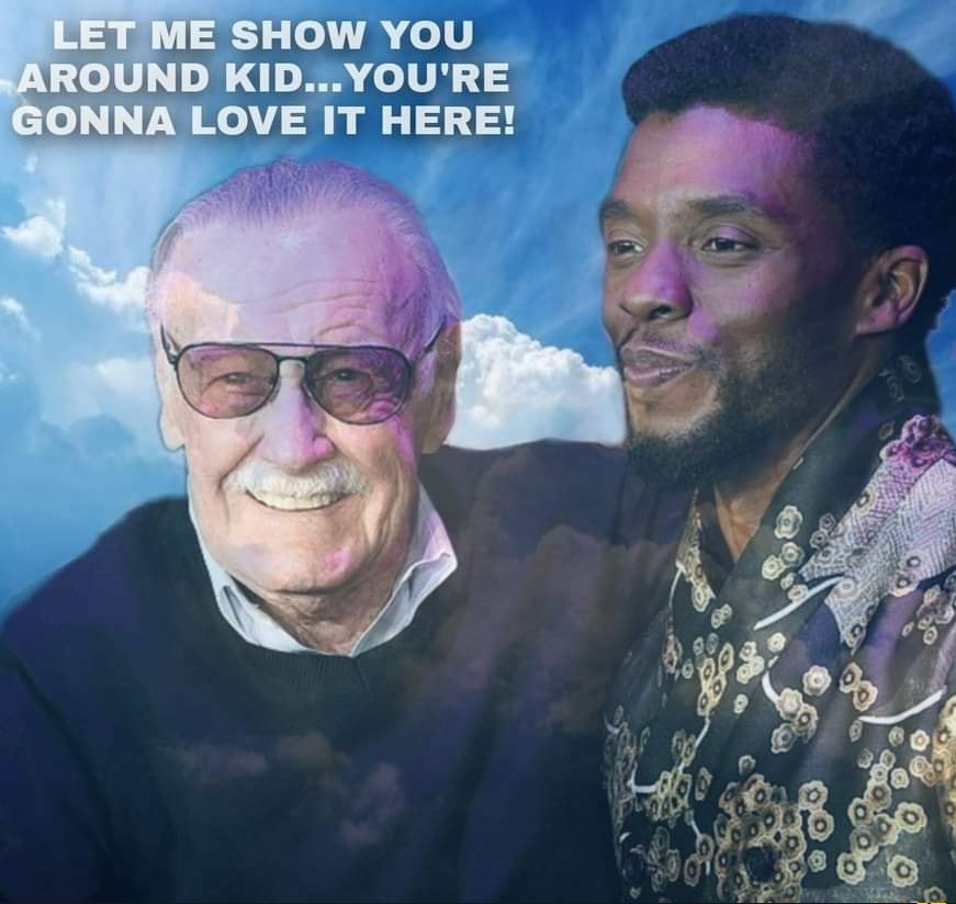 GoldWingyt's tweet photo. Rest in Peace Chadwick. You will live on in our hearts.
#LongLiveKingTChalla https://t.co/jLnSL5v7bi