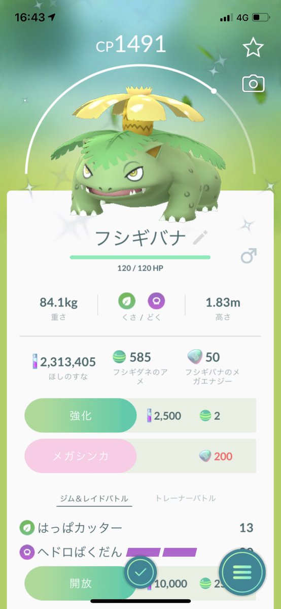 フシギバナ色違い