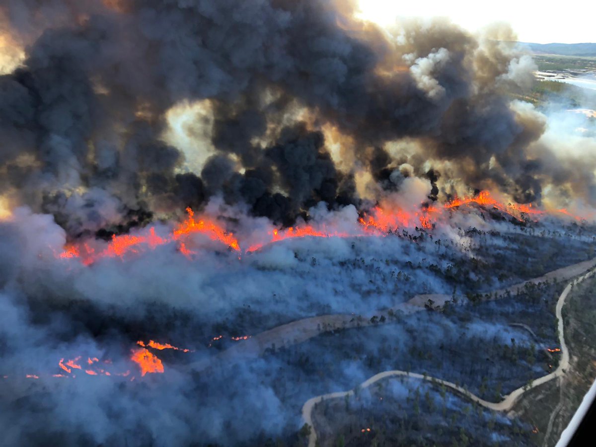 migui9909's tweet photo. Estas son algunas de las fotos tomadas por mí tío en el incendio de #Huelva ayer mismo en su jornada de trabajo. Todo mi apoyo a los bomberos que luchan por detener este fuego. https://t.co/D8CScSUfF9