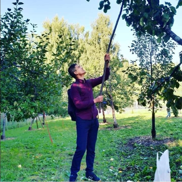 skysuomi's tweet image. Never miss a chance!

When the apple price is as in the pic 1,  Jyväskylä city garden opened it&apos;s doors for residents to collect apples! 🍎

Since this match&apos;s with our #appleproject #omenaprojekti, we also brought interested/registered people to take apples.
+