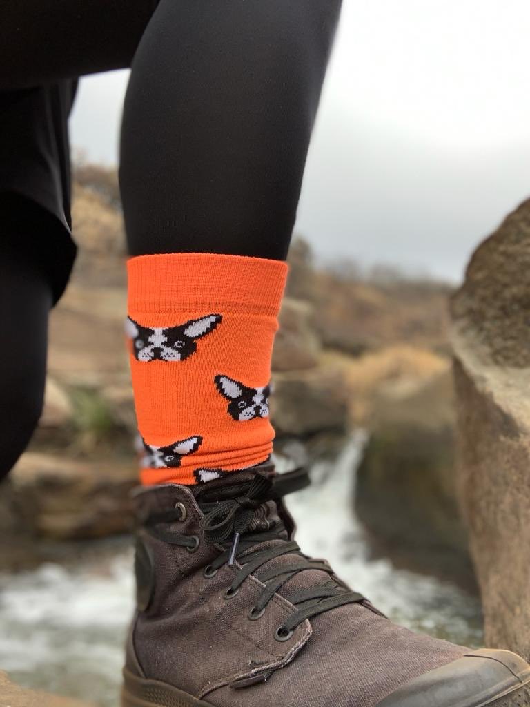 ToePorn's tweet photo. Hiking the ToePorn way... Show us your socks and what you’ve been up to this weekend tag #toeporn or @ToePorn Thank you @BeggCheslyn for sharing 🧦😎 #weekendsocks #brightsocks #socksforthewin #funsocks #neonsocks https://t.co/cK3Dxssx7c