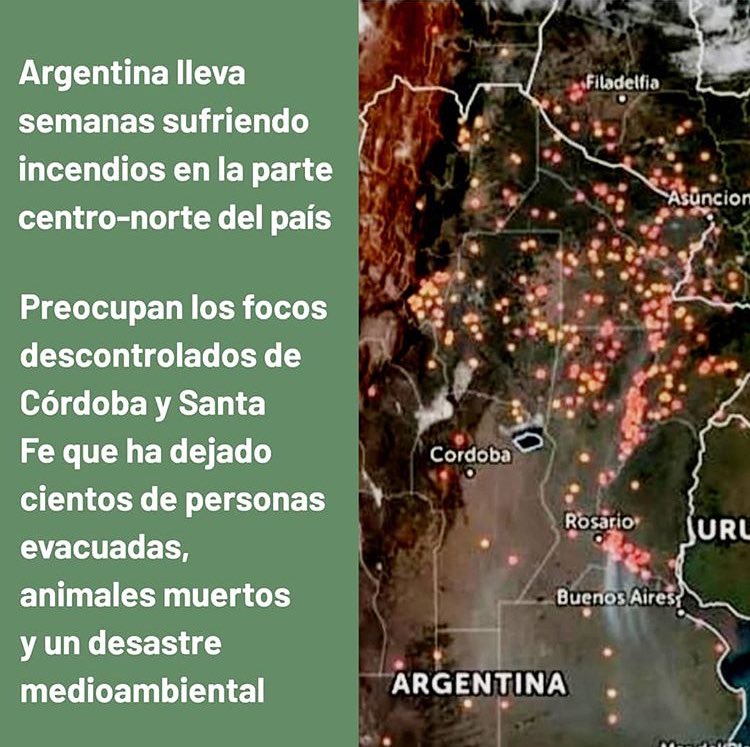 Lo que me recuerda a los incendios que hubo esta semana en el centro norte de Argentina, los cuales fueron intencionales, asique no se sorprendan si en un futuro construyen mataderos ahí (si es que se firma el nuevo acuerdo)
