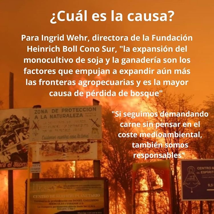 Lo que me recuerda a los incendios que hubo esta semana en el centro norte de Argentina, los cuales fueron intencionales, asique no se sorprendan si en un futuro construyen mataderos ahí (si es que se firma el nuevo acuerdo)