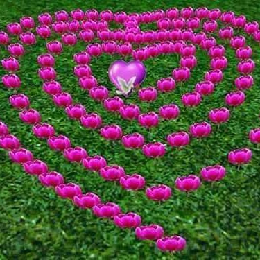 Zafar Iqbal tweet media