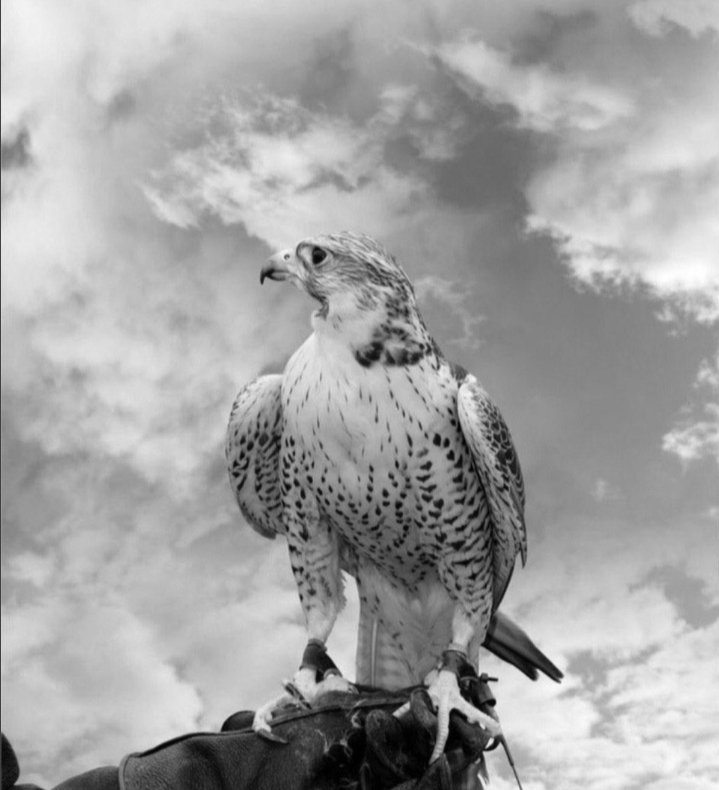 11.30
UNDANGAN
Yang sudah ada follownya di akun sy
Silakan beri tanda hadir di sini
Undangan ditutup tepat pkl 15.00 siang/petang ini
Sy hanya meng-input akun yang ada tanda di sini
Tidak dari metion/reply/notif
Terima kasih
Enjoy your sunday friends
🖐️😆