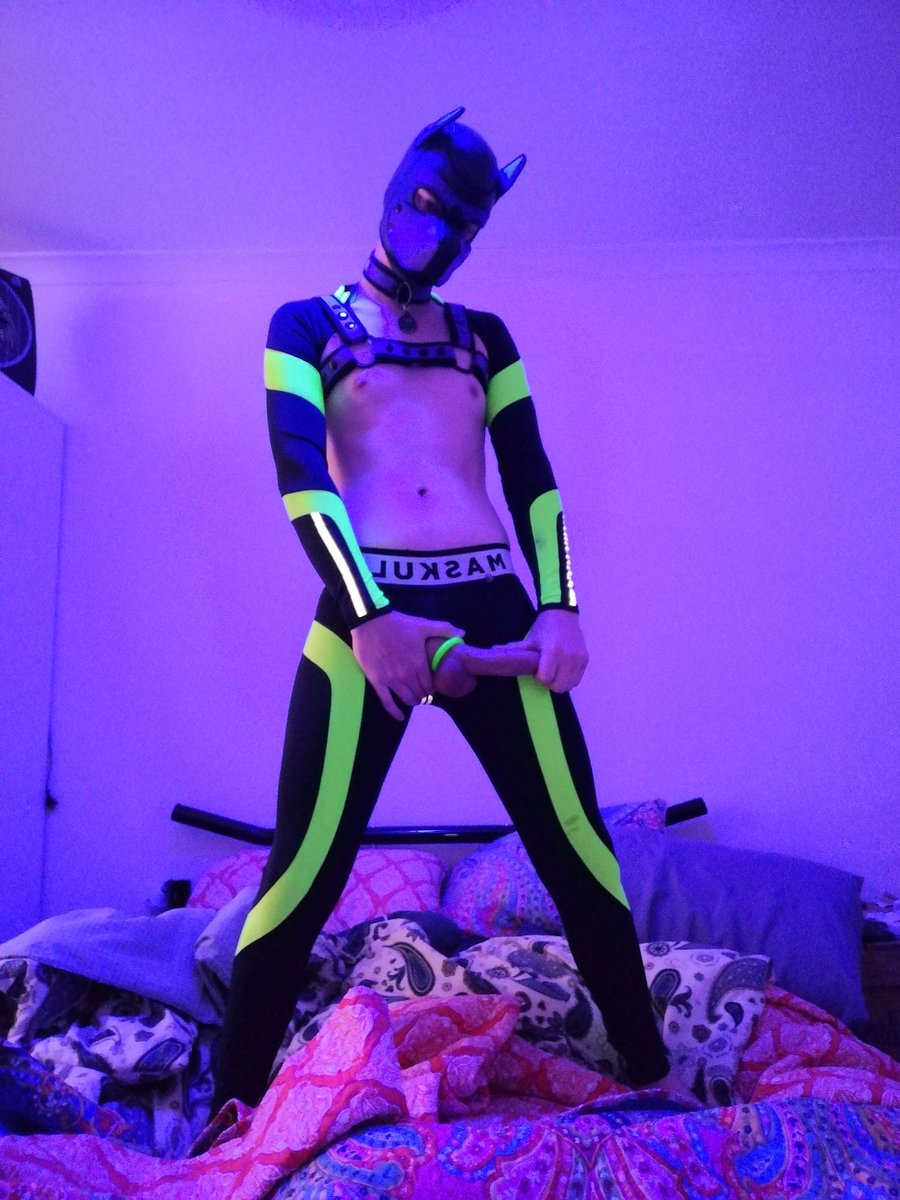 Who's gonna let Nova play with their butt 😜