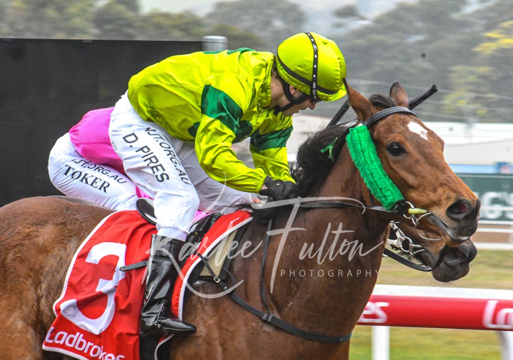 Race 5 at Devonport 
Kevin Sharkie winter distance open 

Winner : SH'BOURNE renegade 
Trainer : B.Ryan 
Jockey : B.McCoull