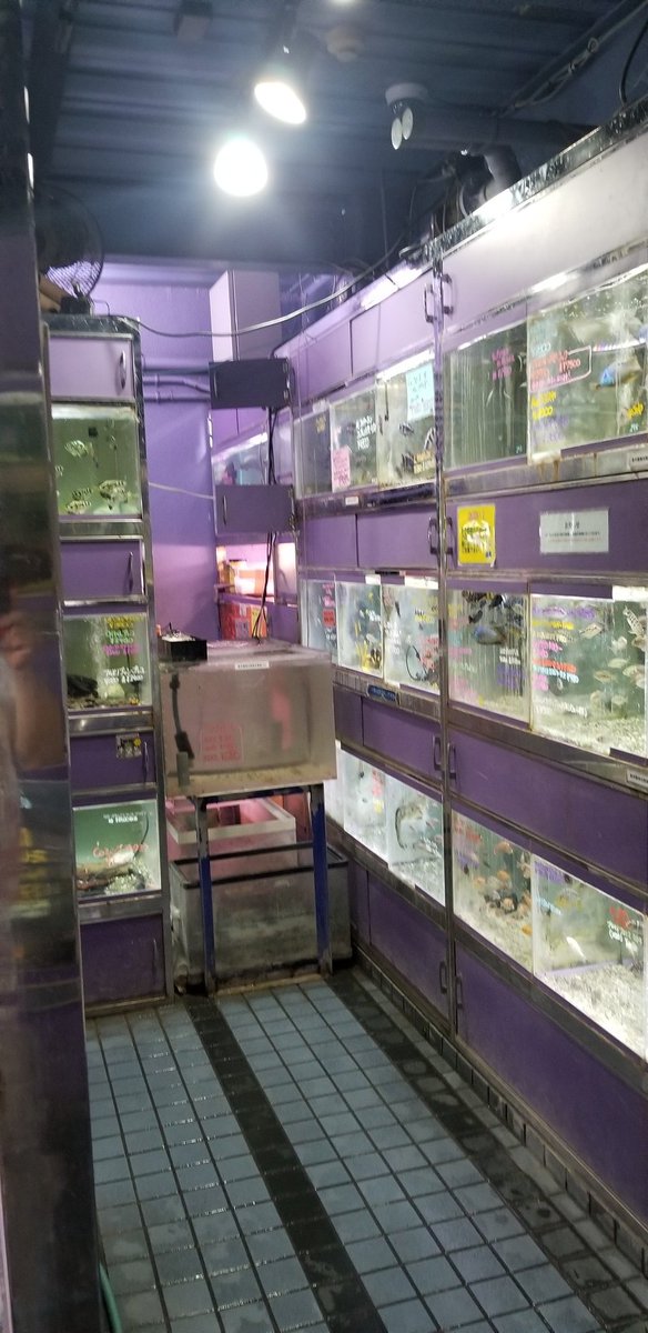 エキゾチックアフリカ