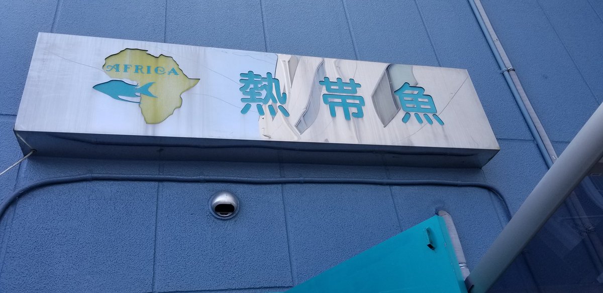 エキゾチックアフリカ