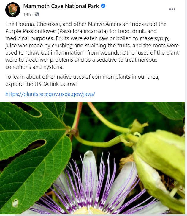 Referring to Indigenous people in the past tense denies generations of resistance to policies of extinction. We must always endeavor to recognize the struggle, resilience and survival of Indigenous people, wisdom, spiritual practices. 1/x #NativeTwitter