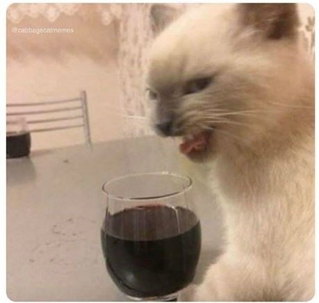 Me drinking my wine and reading the news  ...liberals are insane. There. I said it. https://t.co/us1