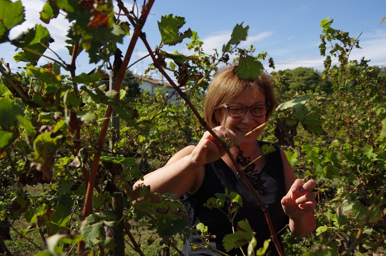 CiaoNico's tweet photo. #Venetien: Die #Winzerin Emanuela #Bincoletto gilt in #Noventa di #Piave als Königin der autochthonen Weinrebe #Raboso: Seit 1994 führt sie ihr #Bioweingut #Tessère. https://t.co/DEpYnrv2OF @TurismoVeneto @DiscoverVeneto @info_sono https://t.co/8k1iosDbu8