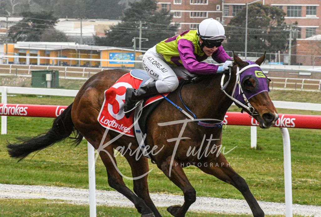 Race 6 at Devonport 
Ladbrokes same race multi benchmark 74 

Winner : GEE GEE TRENDSETTER 
Trainer : S.Gandy 
Jockey : S.Carr