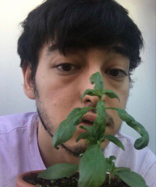 12. Flowerboy- obsessed with planting/gardening - thinks talking to his plants will help them grow- tells you about all the dif types of flowers in the park - only cooks the stuff he grows himself - sends you progress pics of his plants every week