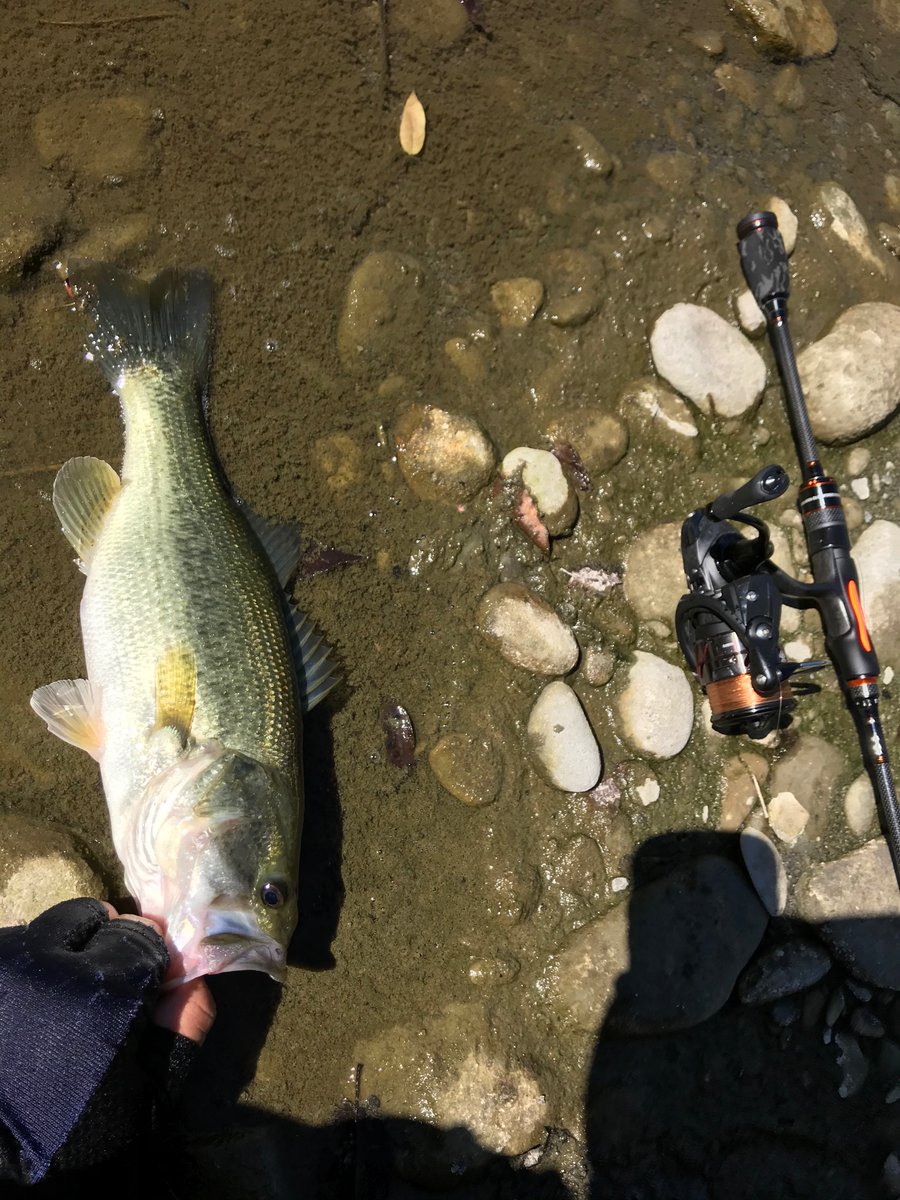 沖縄に持っていくロッドのテストでアジング用ロッドでバス釣り もう少し硬いのが欲しいので一本追加で買わなくては バスは2時間で3本 最高が38 6 ツイレポ 沖縄に持っていくロッドのテストでアジング用ロッドでバス釣り もう少し硬いのが欲しいので一本追加で買わなくては バスは2時間で3本 最高が38 6 ツイレポ