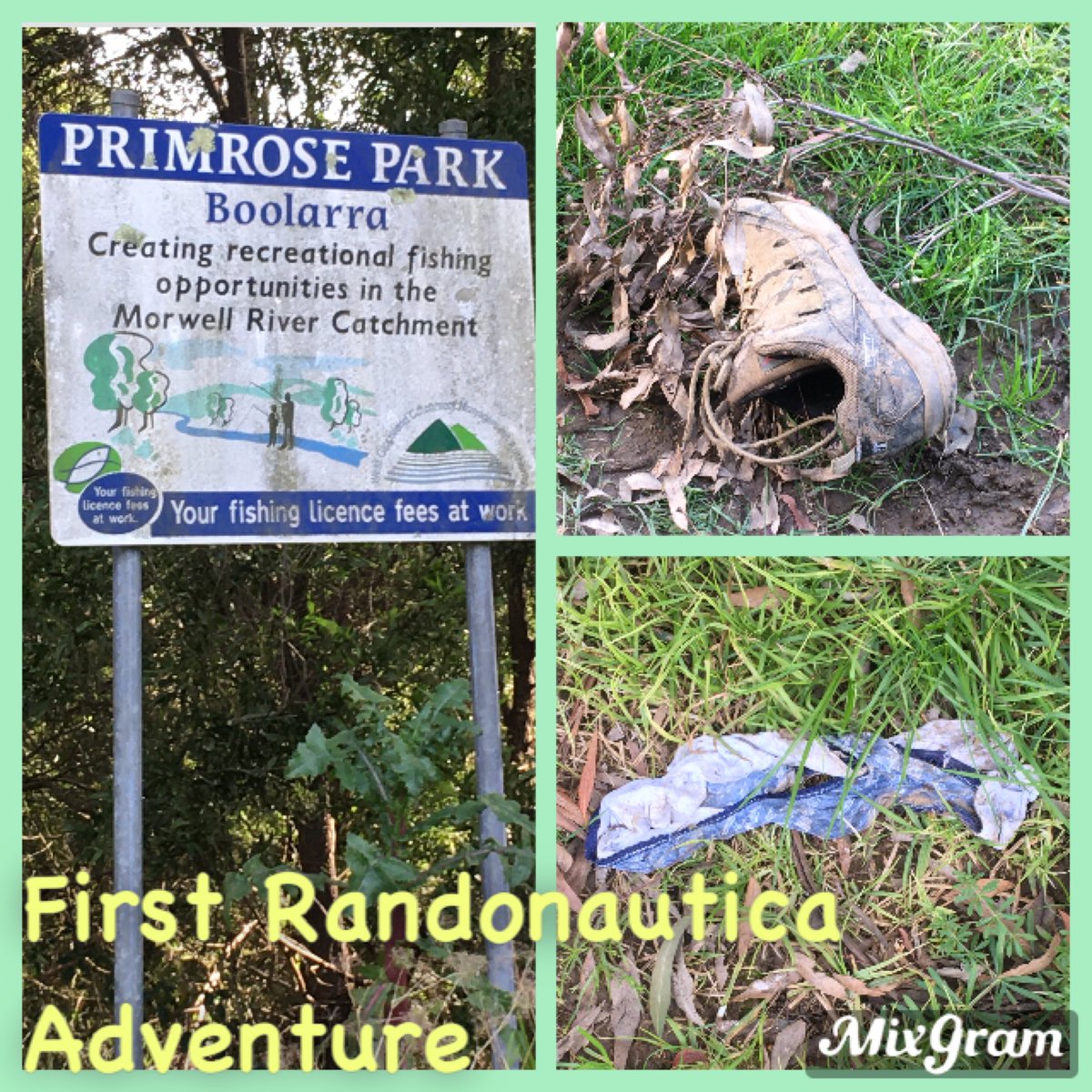 DragonflyMarti's tweet photo. #randonautica #randonauting #adventure https://t.co/QEFhpTTzdp