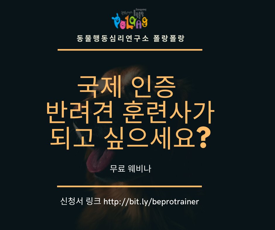 [폴랑폴랑 10월 무료 웨비나] 

해외 반려견 훈련사가 되려면? - 방법, 자격의 종류, 준비 방법
신청서 bit.ly/beprotrainer
blog.naver.com/animalmind/222…

#반려견훈련사 #국제자격 #국제반려견훈련사 #반려견훈련 #국제인증반려견전문가 #폴랑폴랑 #동물행동심리전문가 #동물행동심리폴랑폴랑