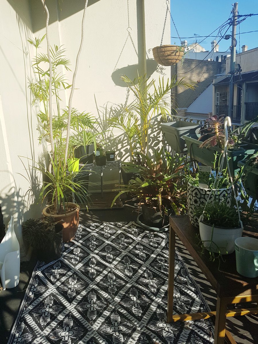 Gothic skull wallpaper we put up shrunk overnight - now there are joins which weren't there before! Instead of chucking a tanty, I get my second coffee and sit in my happy place - the sunny balcony:
