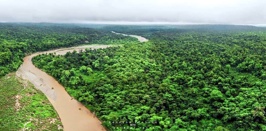प्रकृति की गोद में बसे वाल्मिकी टाईगर रिज़र्व में रविवार की एक खूबसूरत सुबह! एक तरफ नेपाल मे दूर तक दिखती हिमालय पर्वत श्रृंखला और उन्ही पर्वतों के बीच मे से निकल कर आती हुई विशाल गंडक नदी और नदी के दूसरी तरफ मीलों दूर तक फैला घना जंगल।  
ऐसा है हमारा #AmazingVTR!