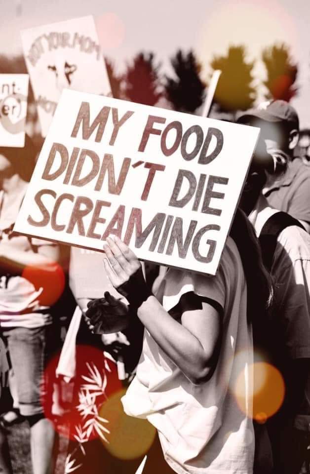Mine didn't,  did yours?
Make the connection, go vegan🌱🌱