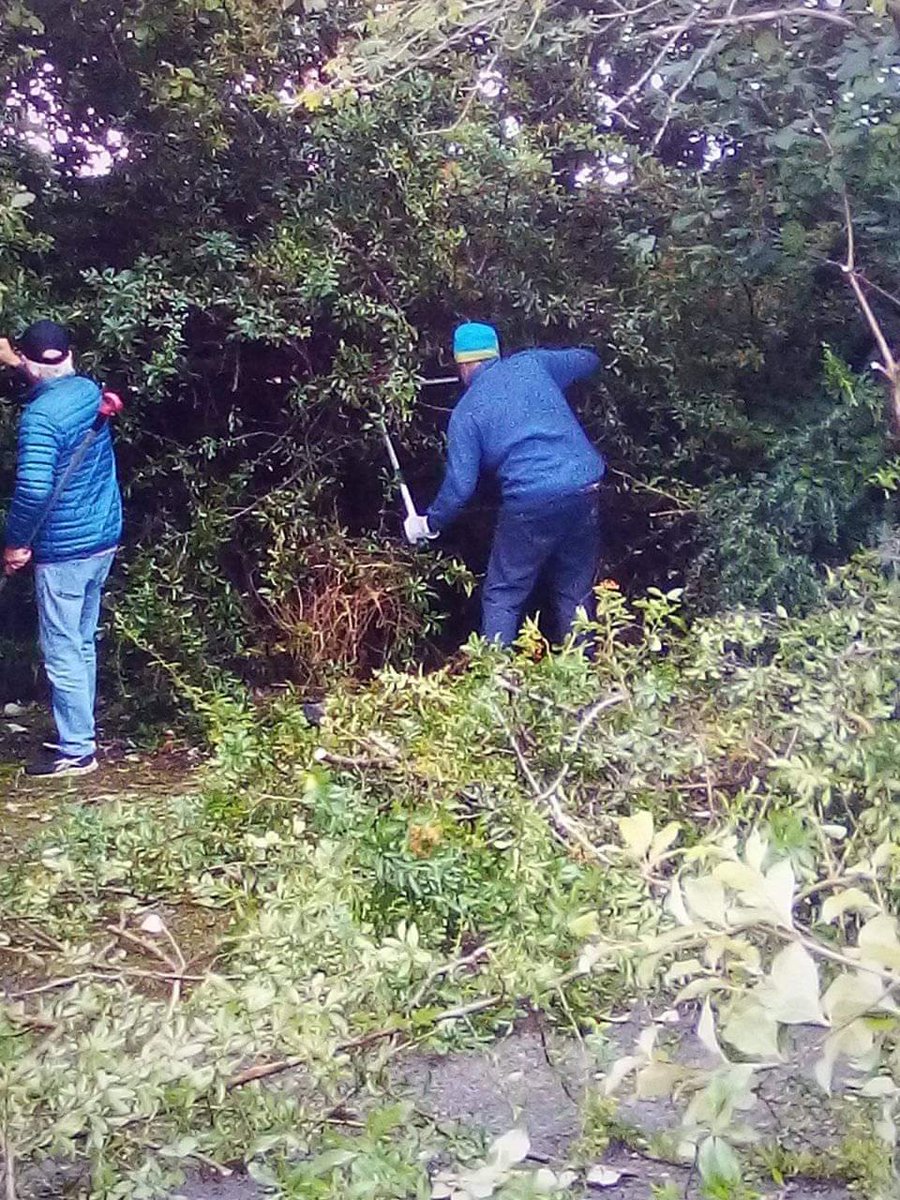 Corrie Gardeners Community Group tweet media