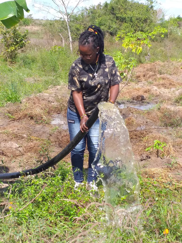 Simusolar tweet media