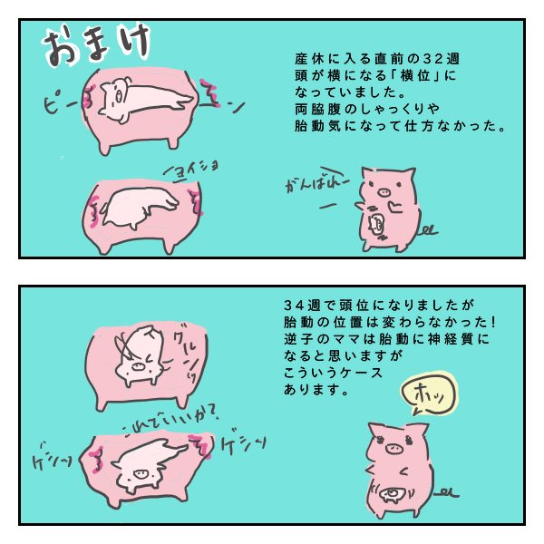 胎動 しゃっくり 位置 ブログ ニュース