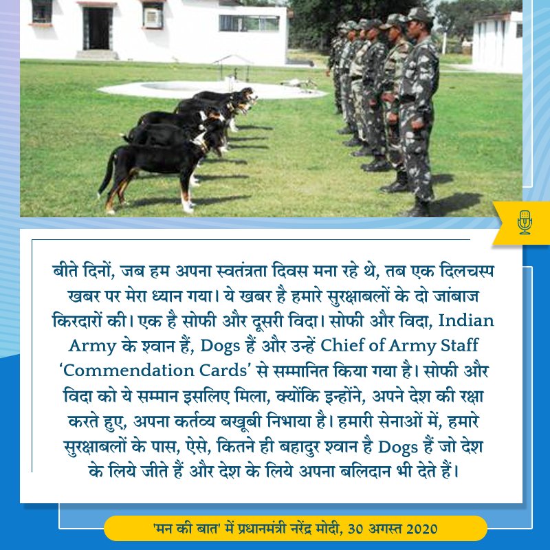 NikhilDev25's tweet photo. Dogs are getting more attention in Mann ki Baat and government..
Even they deserve that
😂😂😂😅😅😅🤣🤣🤣,
Thanks God, students we  are still human so ignored by once again
#MannKiBaat 
#Mann_Ki_Nahi_Student_Ki_Baat 
#मन_की_बात https://t.co/sbZuMq9loF