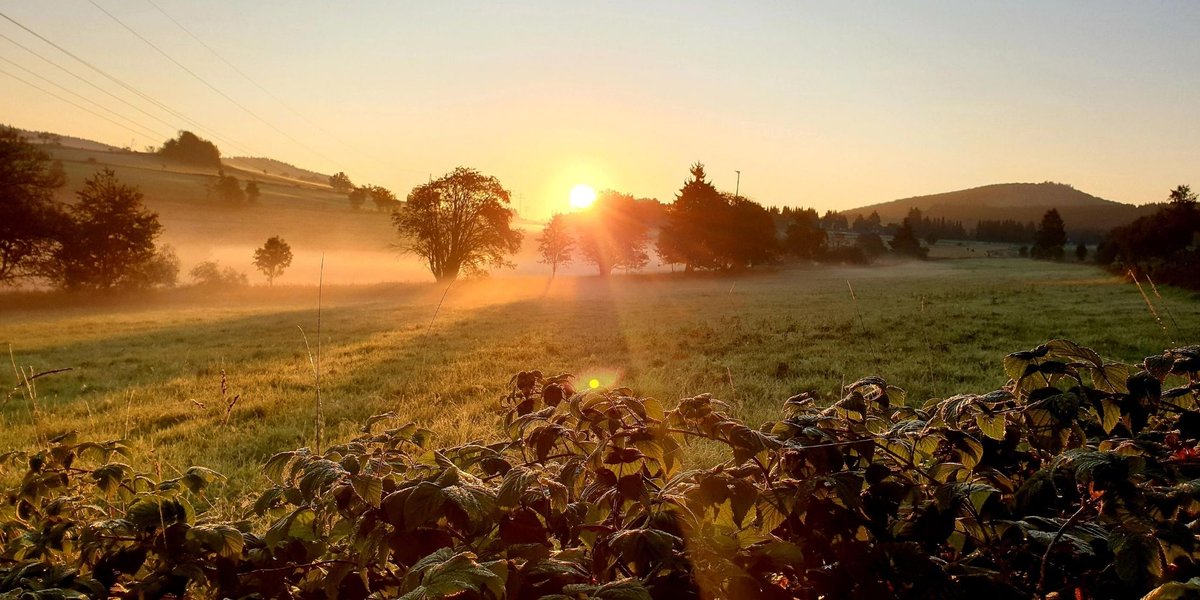 So sieht ein typischer #Morgen im #Sauerland aus! Schön oder? Wie startet Ihr Euren Morgen?
