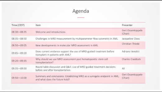 AML_Hub's tweet photo. #EBMT20Virtual | The #AMLHubSS just started, you still have time to join us! Our chair @Gossenkoppele, @VUmcAmsterdam, is going through the agenda. #leusm https://t.co/O3OHuGoW2v