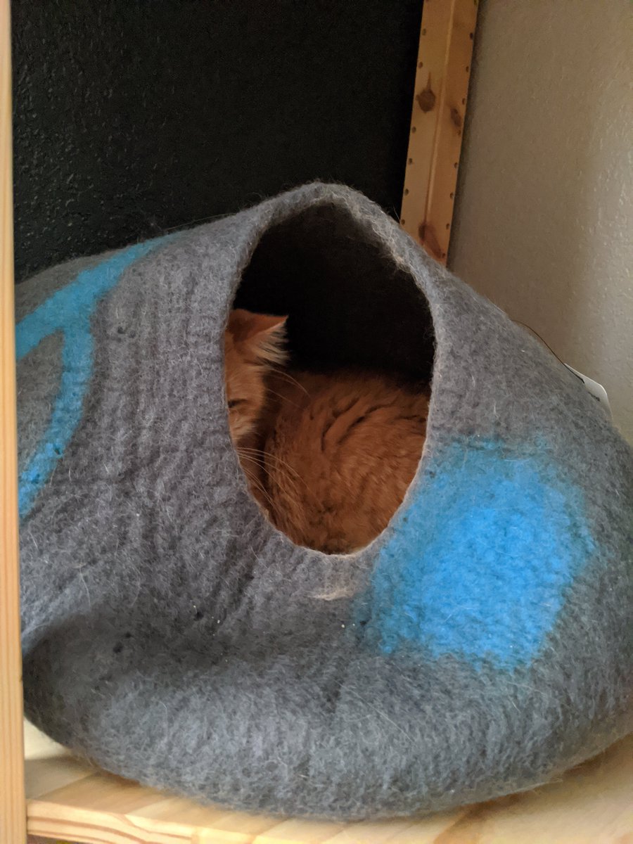 Oh, yeah. I bought this wool cat bed/house for him a while back, and he hasn't seen fit to hang out in it for extended periods until very recently.His routine has become spending a few odd moments in there to snooze and then bouncing between eating, drinking, and perching.