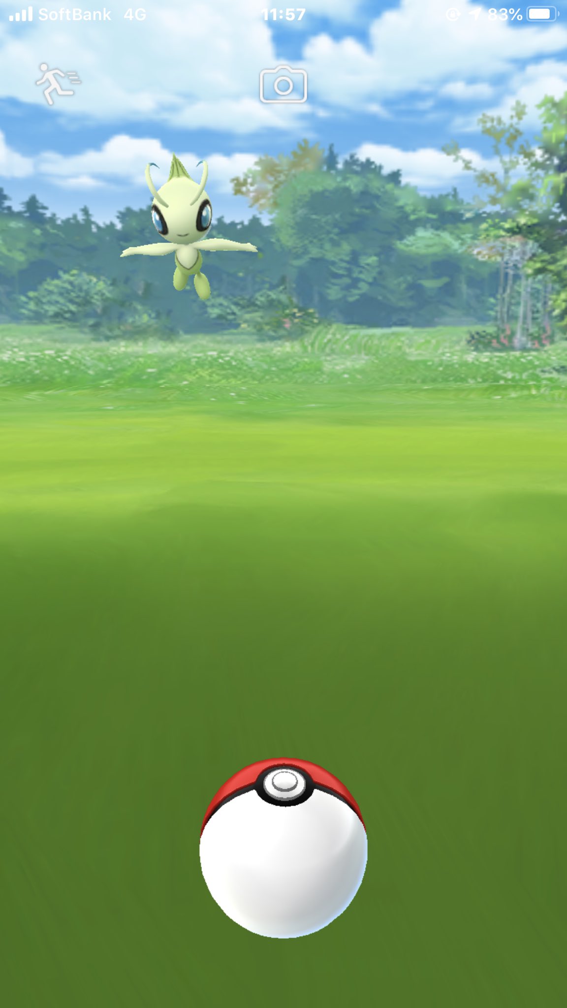 ほたる Ff Pkmn Twitter