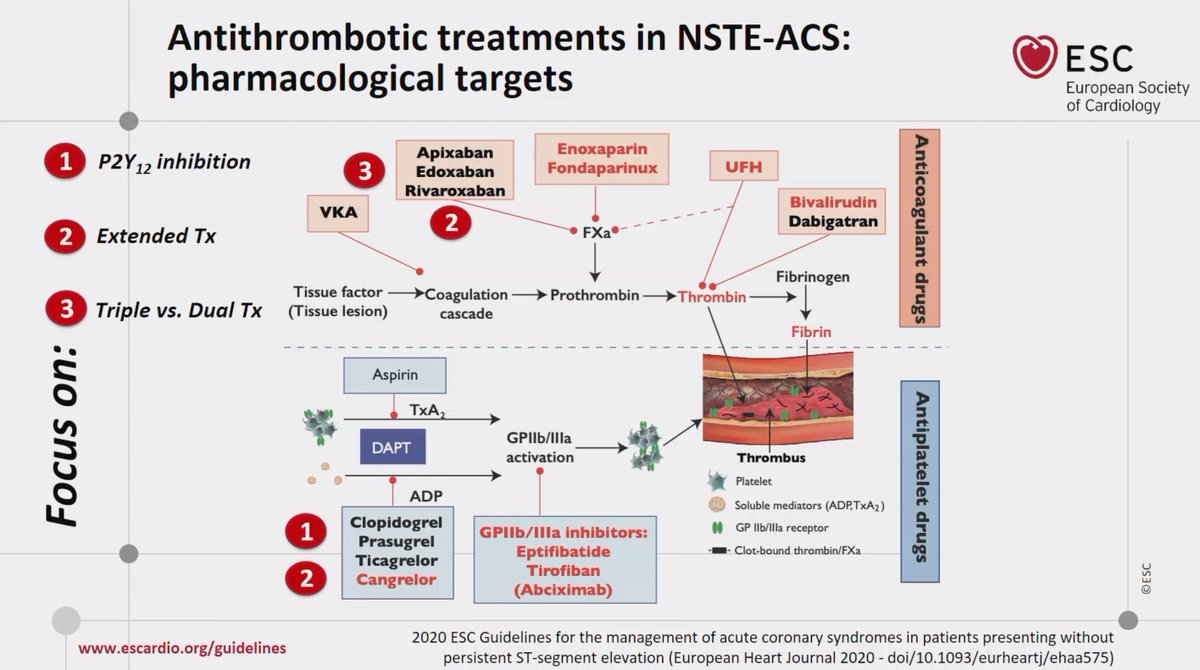 5/ Pharmacological treatment Multiple therapeutic targets and combinations; individualization = key. Patient characteristics, clinical presentation, comorbidities, co-medications and periprocedural aspects: determinants of treatment and rx duration.