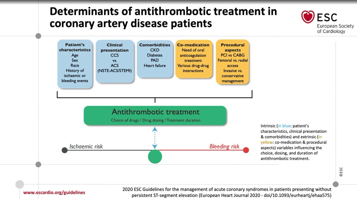 5/ Pharmacological treatment Multiple therapeutic targets and combinations; individualization = key. Patient characteristics, clinical presentation, comorbidities, co-medications and periprocedural aspects: determinants of treatment and rx duration.