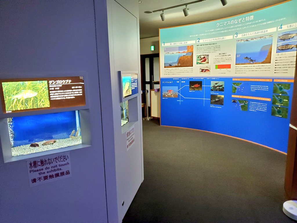 めｎち 山梨は 西湖ネイチャーセンタークニマス展示館 行った クニマスは絶滅した秋田の固有種だったけど 富士五湖の西湖で生存してたのをさかなクンが見つけた というロマンに満ち溢れた魚 そんな奇跡を観察できるありがたい施設 でも最寄り駅から