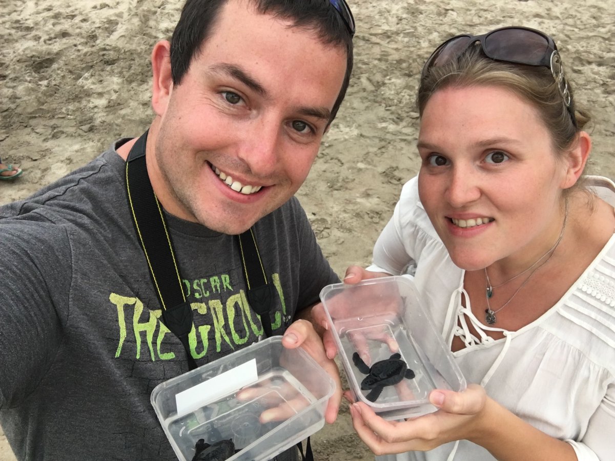 NomadicBrits's tweet photo. OMG, OMG We Got To Release A Baby Sea Turtle - https://t.co/MKfOTTgqVZ

#travel #lookatourworld #travelbloging #travelbloggers #seaturtle #balilife #travelgoal https://t.co/GM6K8mKyGf