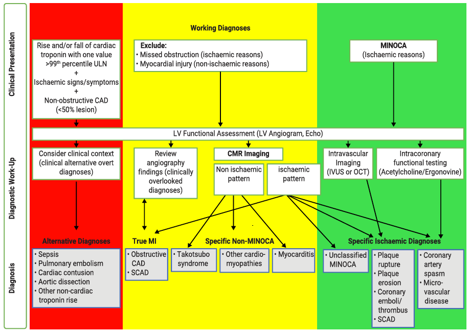 9/ New sections on SCAD related NSTEACS and MINOCA- The importance of CMRi is highlighted in all patients with MINOCA - Takotsubo is separated from MINOCA