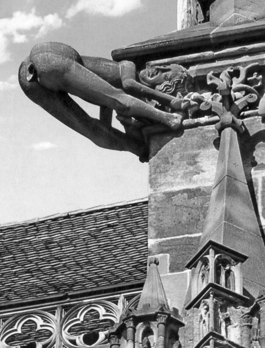 書肆ゲンシシャ 幻視者の集い フライブルク大聖堂のガーゴイル 石工に大聖堂 の彫刻を依頼したものの 石工は仕事の対価を受け取ることができず 排便しているように見えるガーゴイルを作ったと言われています 大聖堂は キリスト教世界で最も美しい塔 をもつとされ
