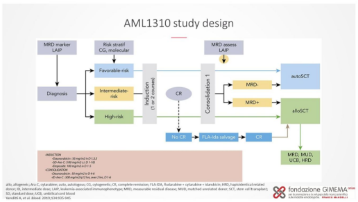 AML_Hub's tweet photo. #AMLHubSS | Adriano Venditti, @unitorvergata, discussed the evidence supporting the use of MRD-guided treatment before transplant in patients with AML. #leusm https://t.co/2acqgr9DDW