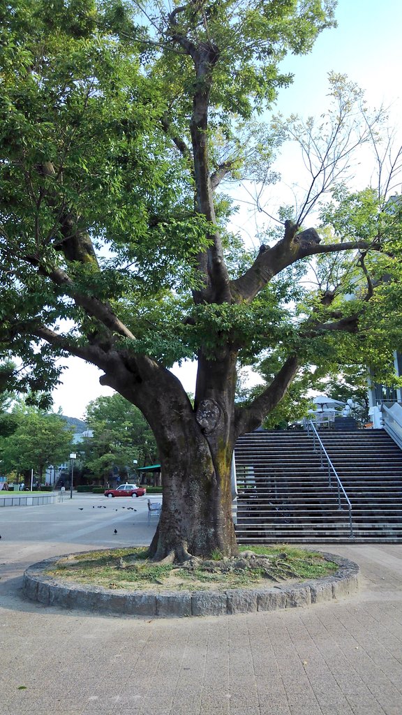 uron_12's tweet photo. そして、次の音楽が、始まるのです。 https://t.co/VP6UrOKZiN
